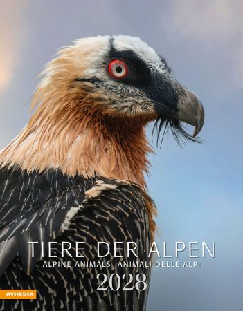 Tiere der Alpen - Kalender 2028