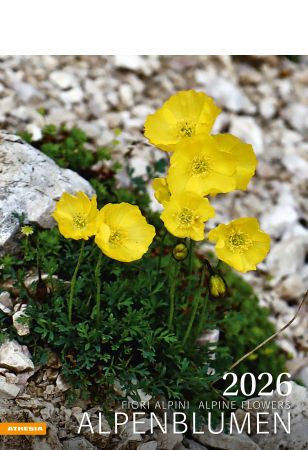 Alpenblumen Kalender 2026