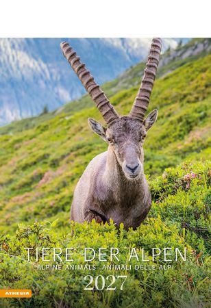 Tiere der Alpen - Kalender 2027