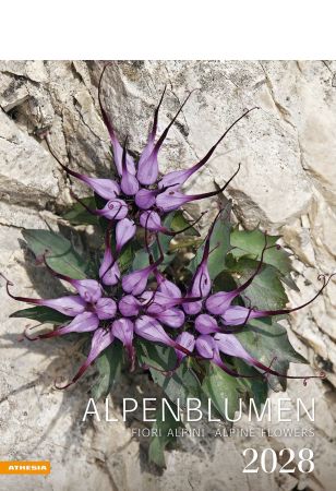 Alpenblumen Kalender 2028