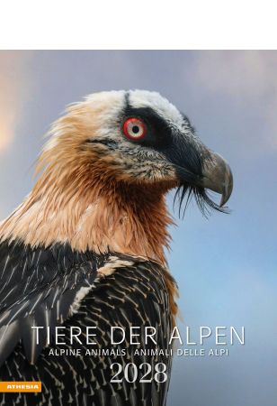 Tiere der Alpen - Kalender 2028